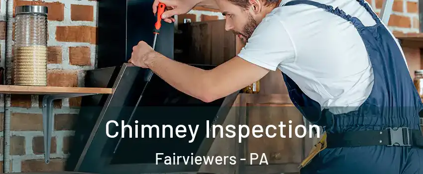 Chimney Inspection Fairviewers - PA