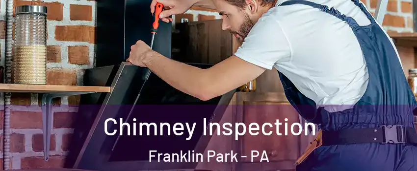 Chimney Inspection Franklin Park - PA