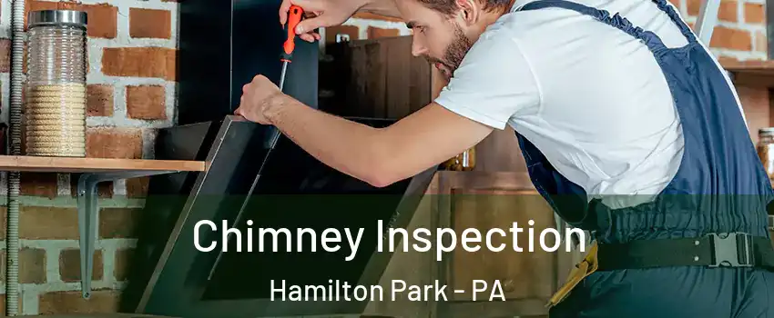 Chimney Inspection Hamilton Park - PA