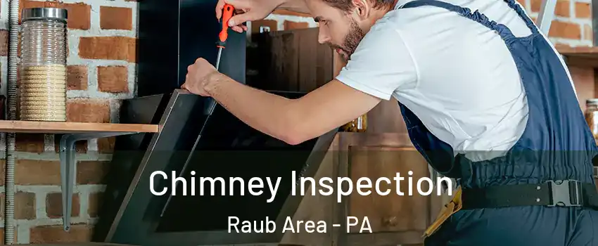 Chimney Inspection Raub Area - PA