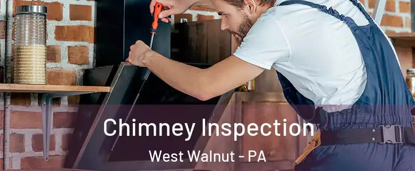 Chimney Inspection West Walnut - PA