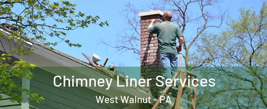 Chimney Liner Services West Walnut - PA