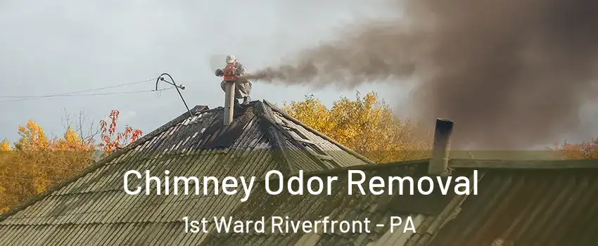 Chimney Odor Removal 1st Ward Riverfront - PA