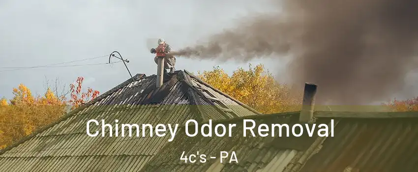 Chimney Odor Removal 4c's - PA