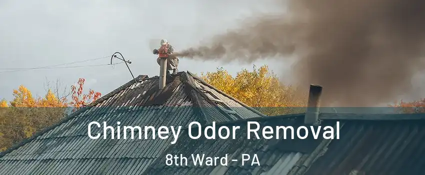 Chimney Odor Removal 8th Ward - PA