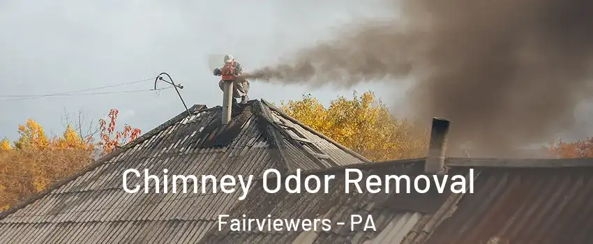 Chimney Odor Removal Fairviewers - PA