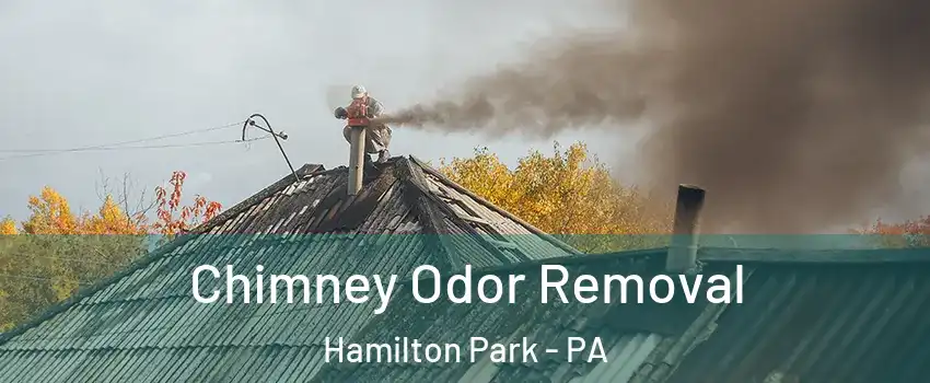 Chimney Odor Removal Hamilton Park - PA