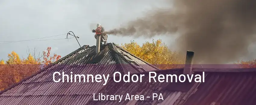 Chimney Odor Removal Library Area - PA