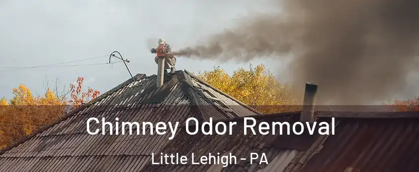 Chimney Odor Removal Little Lehigh - PA