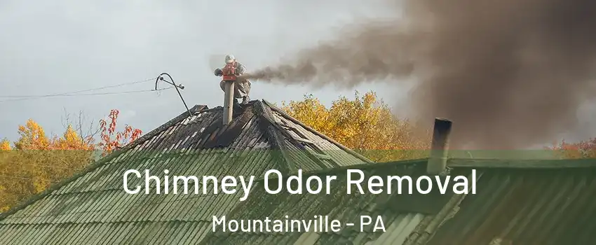 Chimney Odor Removal Mountainville - PA