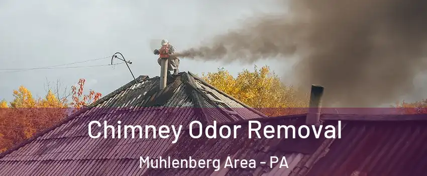 Chimney Odor Removal Muhlenberg Area - PA