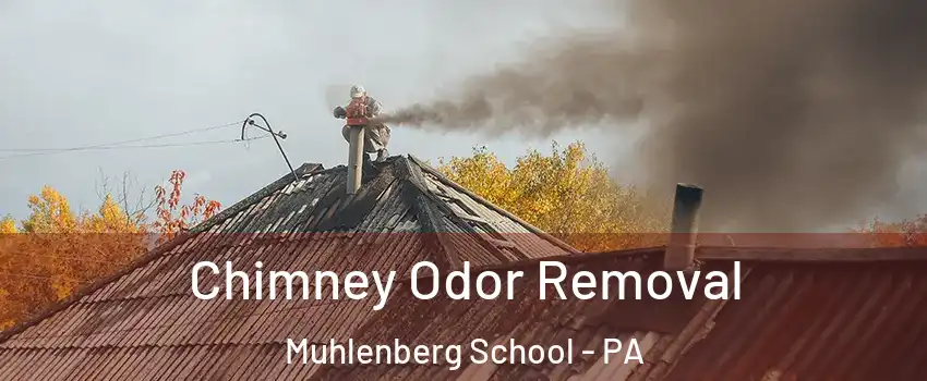 Chimney Odor Removal Muhlenberg School - PA