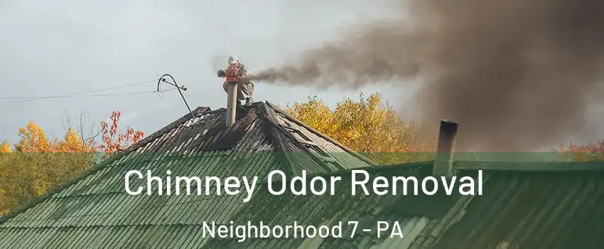 Chimney Odor Removal Neighborhood 7 - PA