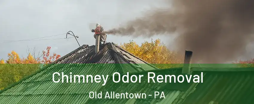 Chimney Odor Removal Old Allentown - PA