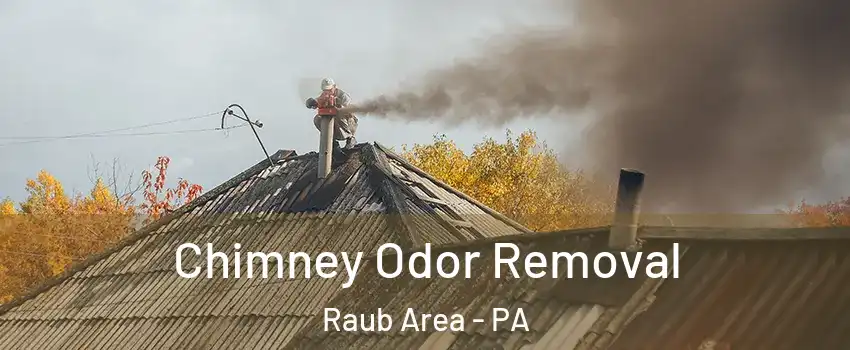 Chimney Odor Removal Raub Area - PA