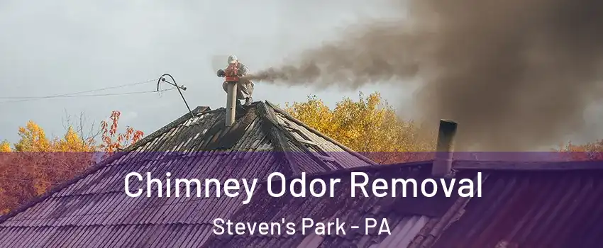 Chimney Odor Removal Steven's Park - PA