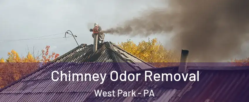 Chimney Odor Removal West Park - PA