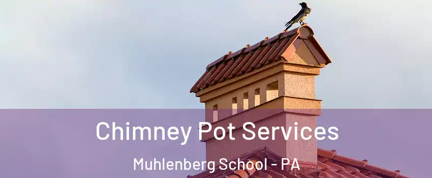 Chimney Pot Services Muhlenberg School - PA