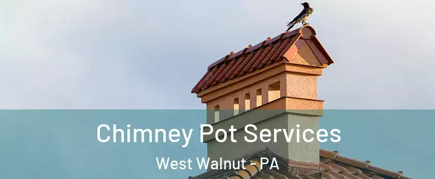 Chimney Pot Services West Walnut - PA