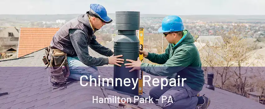 Chimney Repair Hamilton Park - PA