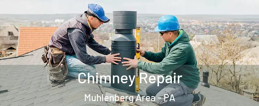 Chimney Repair Muhlenberg Area - PA