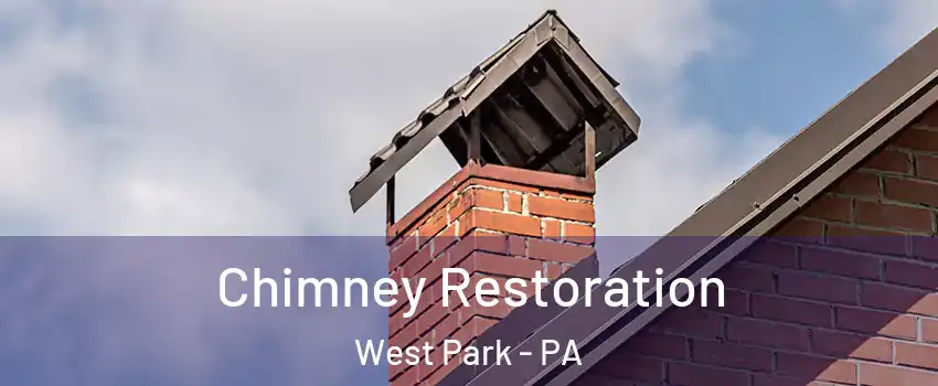 Chimney Restoration West Park - PA