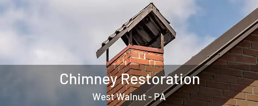 Chimney Restoration West Walnut - PA