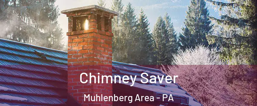 Chimney Saver Muhlenberg Area - PA