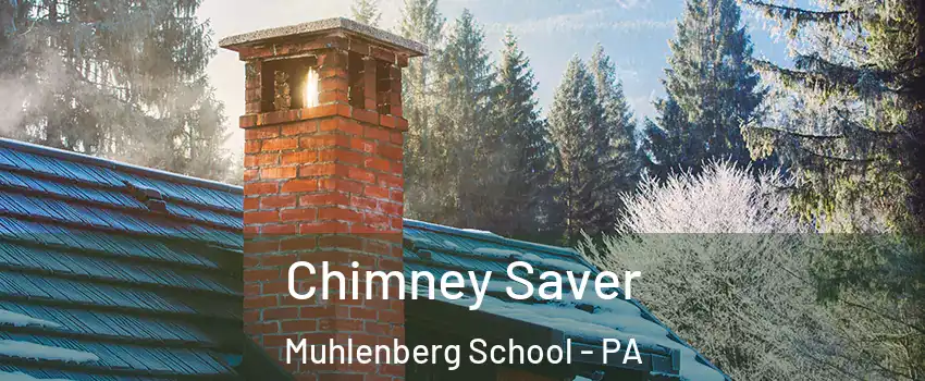 Chimney Saver Muhlenberg School - PA