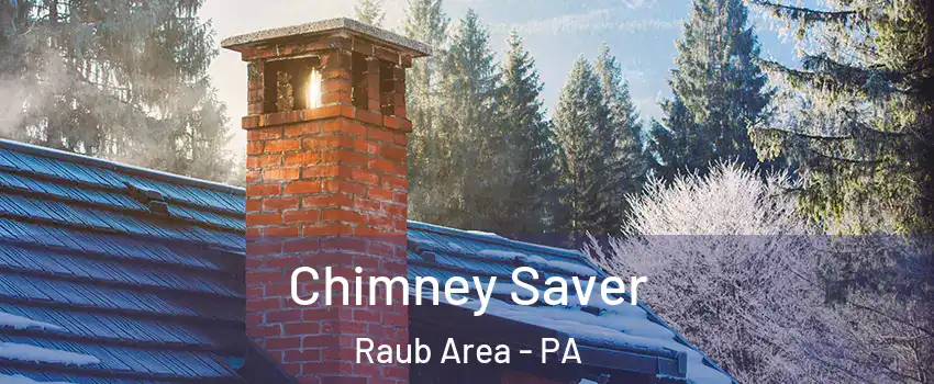 Chimney Saver Raub Area - PA