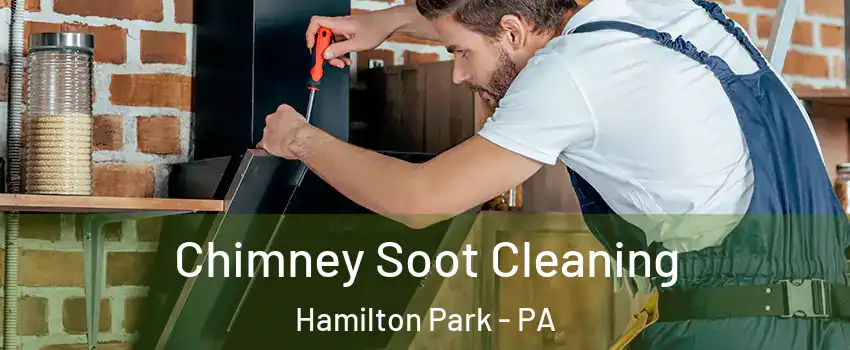 Chimney Soot Cleaning Hamilton Park - PA