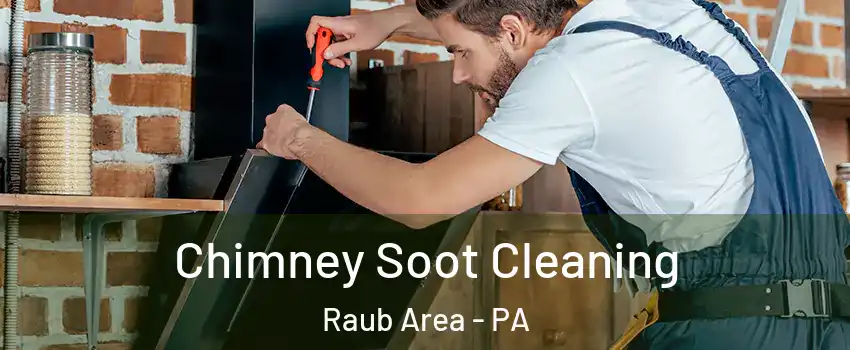 Chimney Soot Cleaning Raub Area - PA