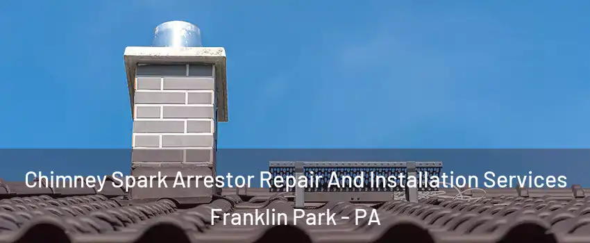 Chimney Spark Arrestor Repair And Installation Services Franklin Park - PA