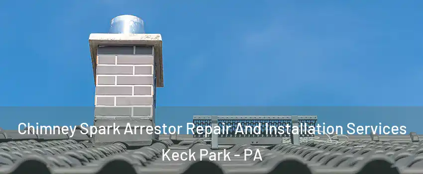 Chimney Spark Arrestor Repair And Installation Services Keck Park - PA