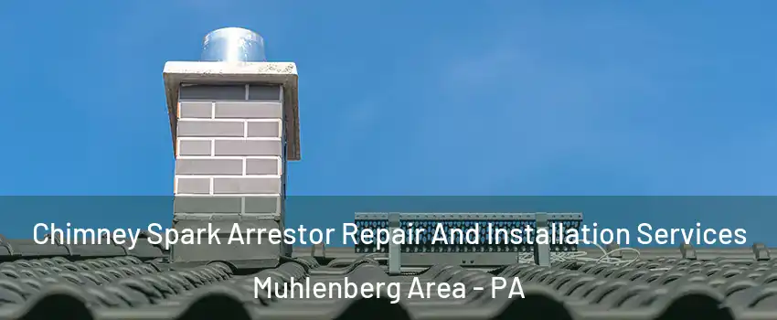 Chimney Spark Arrestor Repair And Installation Services Muhlenberg Area - PA