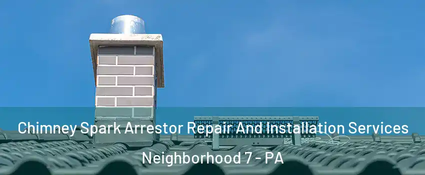 Chimney Spark Arrestor Repair And Installation Services Neighborhood 7 - PA