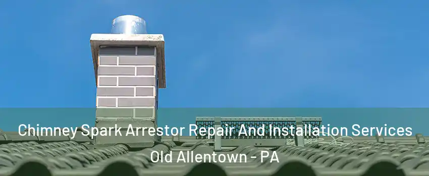 Chimney Spark Arrestor Repair And Installation Services Old Allentown - PA