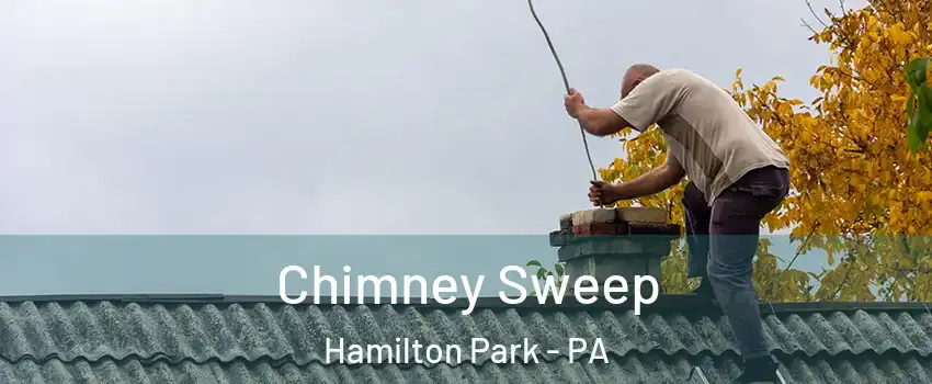 Chimney Sweep Hamilton Park - PA