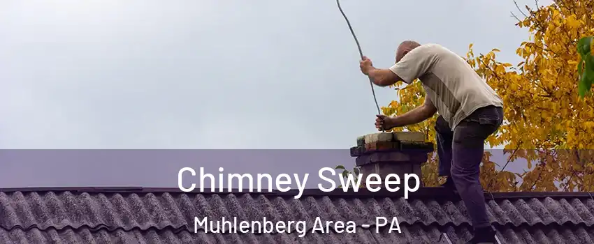 Chimney Sweep Muhlenberg Area - PA