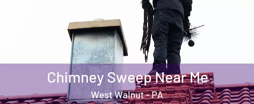 Chimney Sweep Near Me West Walnut - PA