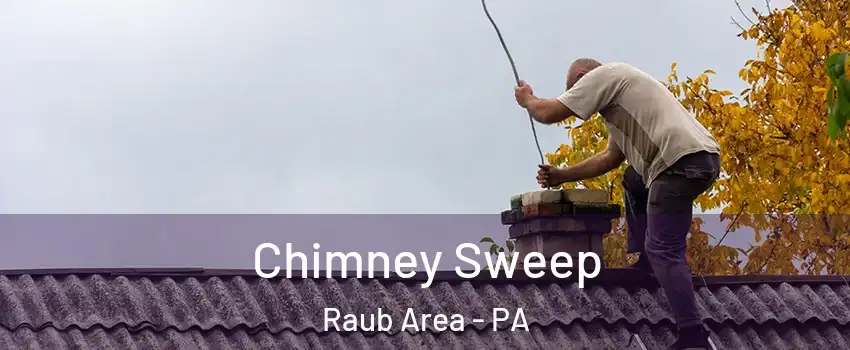 Chimney Sweep Raub Area - PA