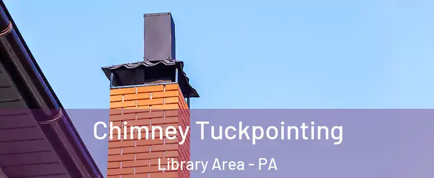 Chimney Tuckpointing Library Area - PA