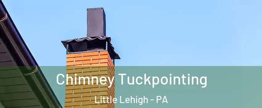 Chimney Tuckpointing Little Lehigh - PA