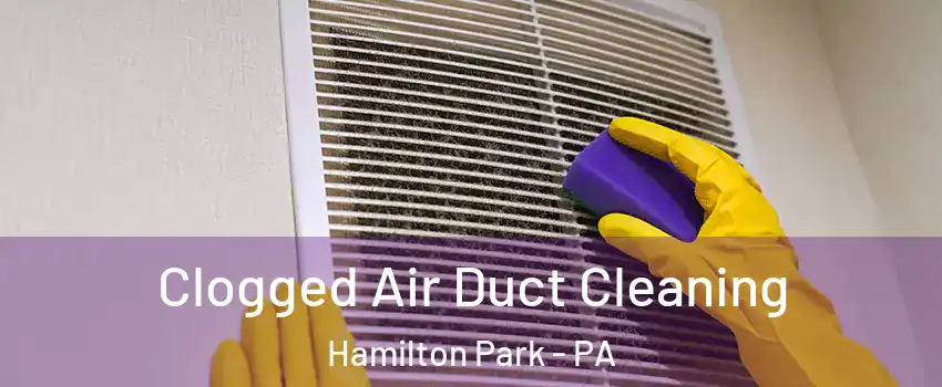 Clogged Air Duct Cleaning Hamilton Park - PA