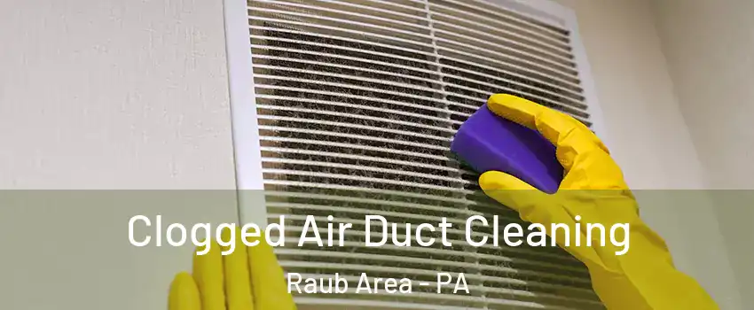 Clogged Air Duct Cleaning Raub Area - PA