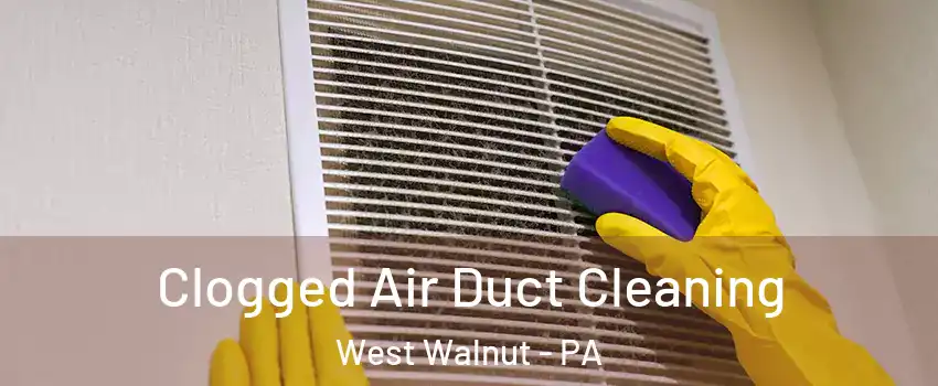 Clogged Air Duct Cleaning West Walnut - PA