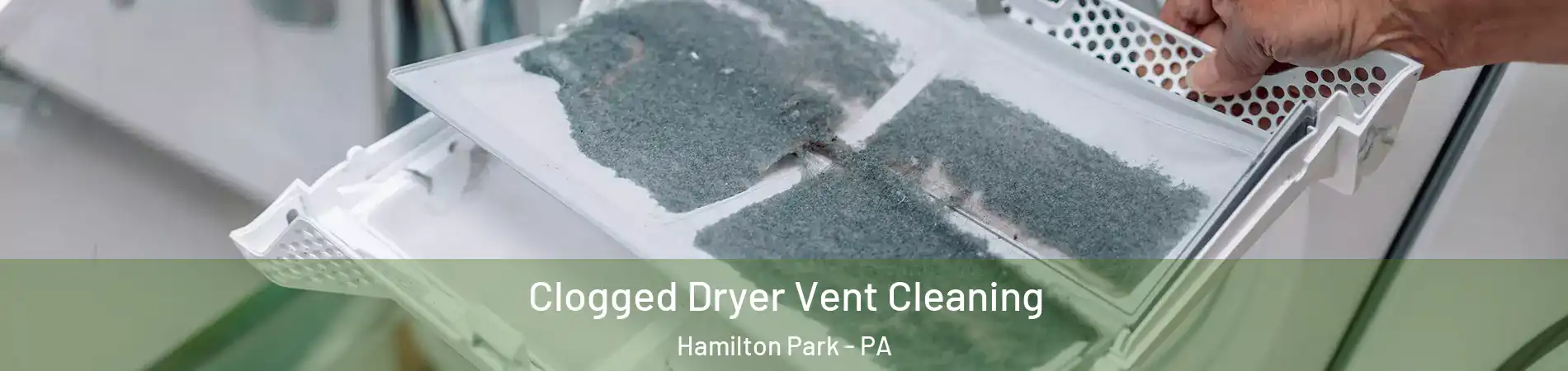 Clogged Dryer Vent Cleaning Hamilton Park - PA