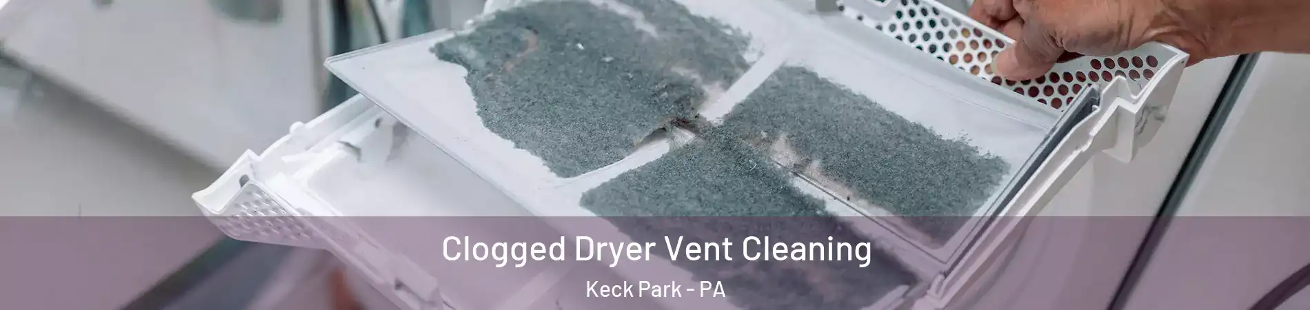 Clogged Dryer Vent Cleaning Keck Park - PA