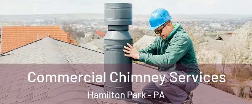 Commercial Chimney Services Hamilton Park - PA