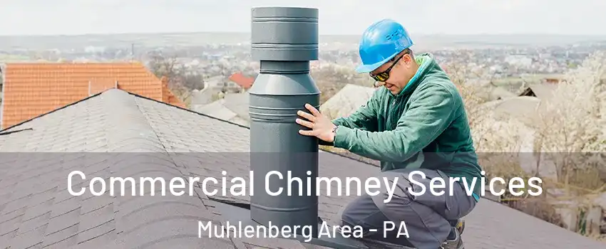 Commercial Chimney Services Muhlenberg Area - PA